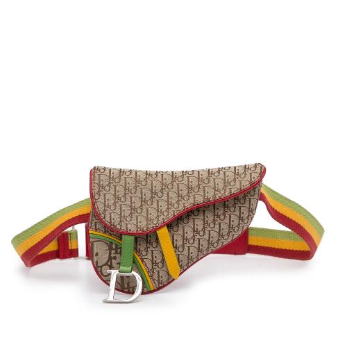 Dior Dior Oblique Saddle Rasta Belt Bag