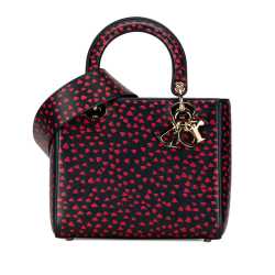 Dior Medium I Love Paris Lady Dior Satchel