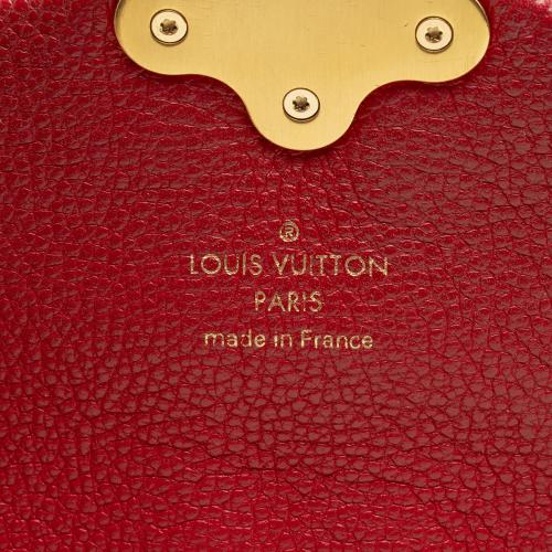 Louis Vuitton Damier Ebene Clapton Backpack