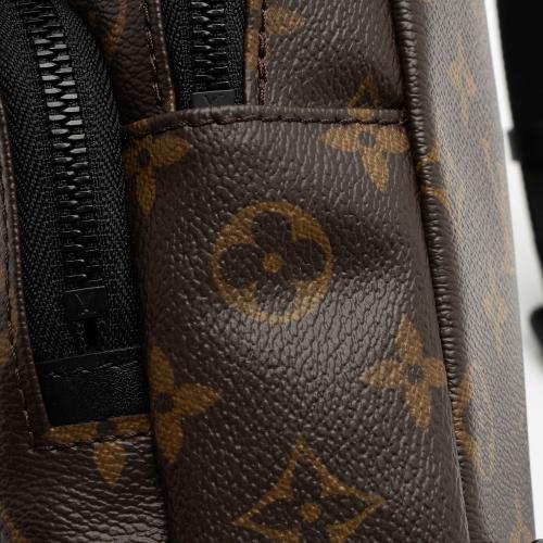 Louis Vuitton Monogram Canvas Macassar Avenue Sling Bag