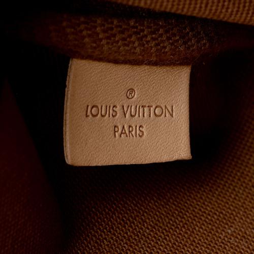 Louis Vuitton Monogram Canvas Multi-Pochette Accessoires