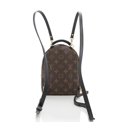 Louis Vuitton Monogram Canvas World Tour Palm Springs Mini Backpack, Louis  Vuitton Handbags