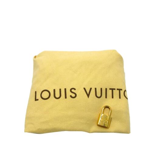 Louis Vuitton Monogram Fleur de Jais Carrousel Brown