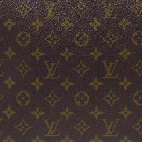 Louis Vuitton Monogram Luco