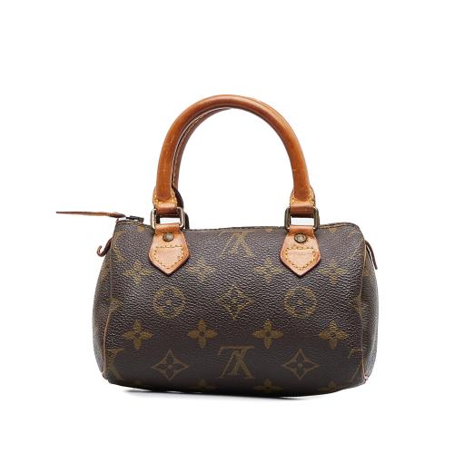 What Fits Louis Vuitton Mini HL Speedy 