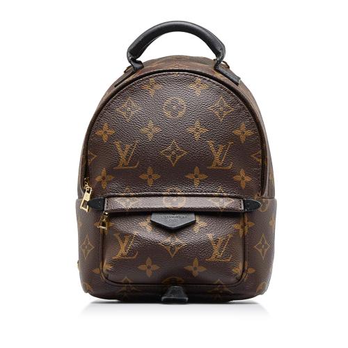 Louis Vuitton Palm Springs Monogram (Updated Zipper) Mini Brown