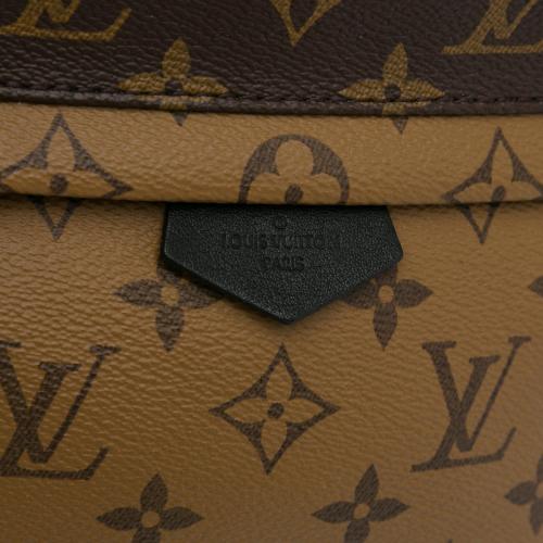 Louis Vuitton Monogram Reverse Palm Springs PM