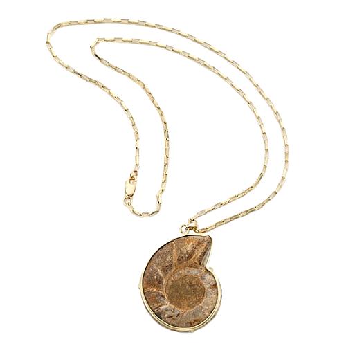 Kara Ross Fossilized Shell Necklace