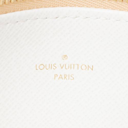 Louis Vuitton Giant Monogram Resort Canvas Felicie Insert